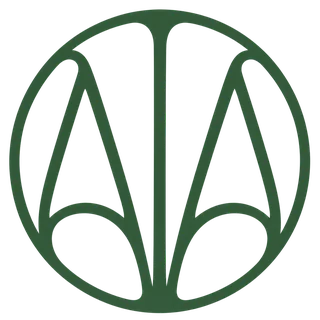 Ayahuasca Integration Alliance